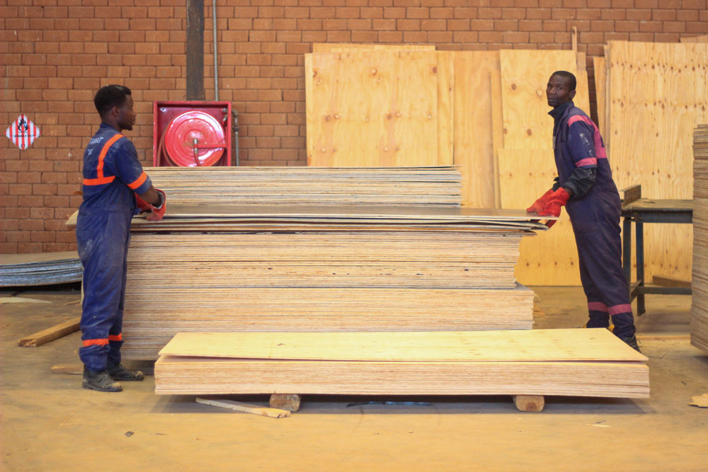 Industrial Safety for East Africa’s Forestry Leader